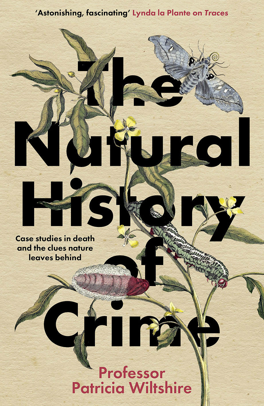 Book cover: The Natural History of Crime idea 3